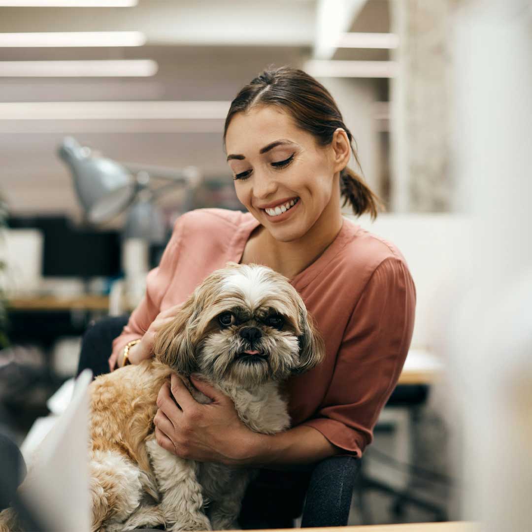 A-lady-holding-a-medium-long-coated-Shih-Tzu-on-her-lap-sitting-in-a-waiting-room A lady holding a medium long coated Shih Tzu on her lap sitting in a waiting room