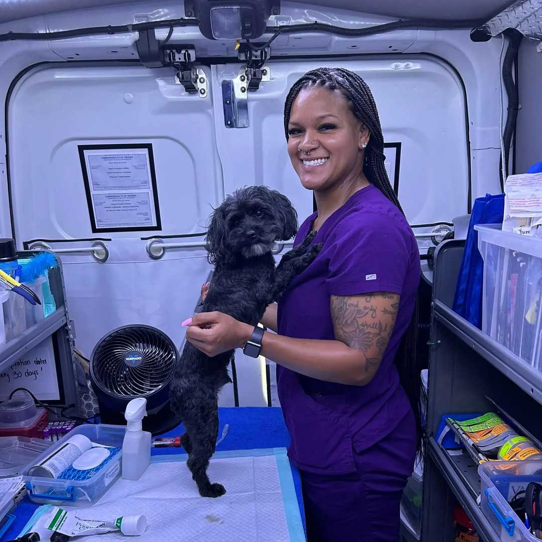 A small black dog standing on table holding our staff in our mobile diagnose vehicle