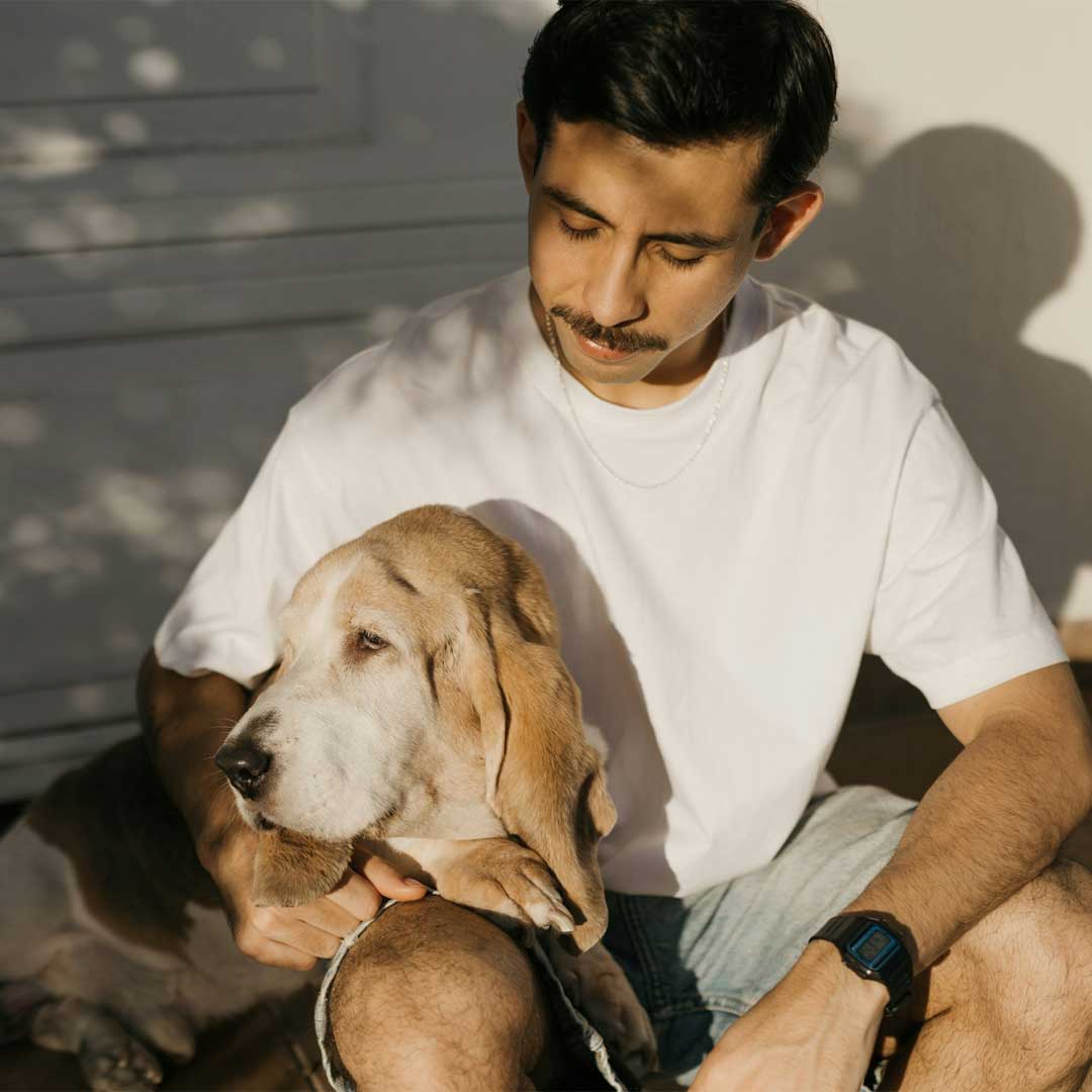 An old dog sitting with its owner