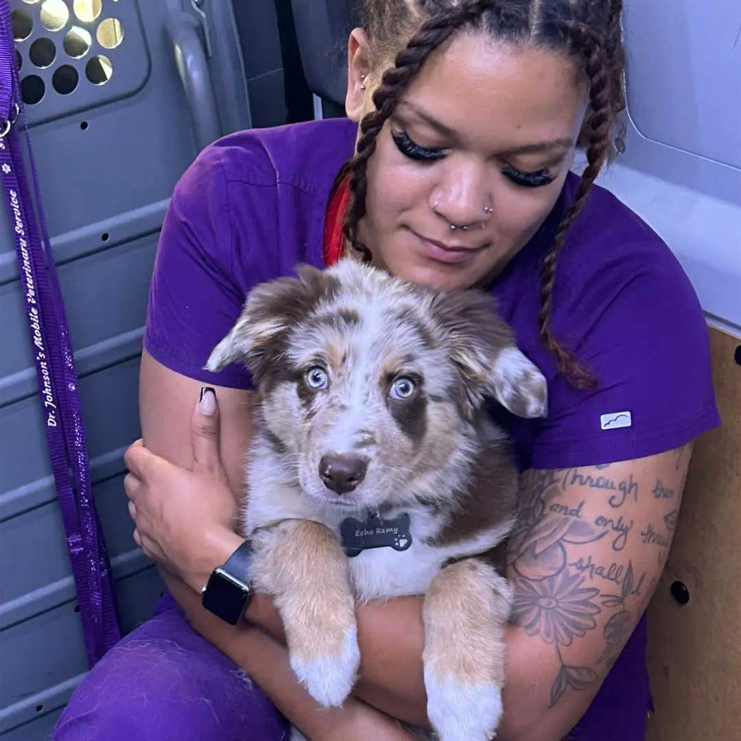 Our team member holds a dog in her arms while sitting in a van, exuding warmth and joy.