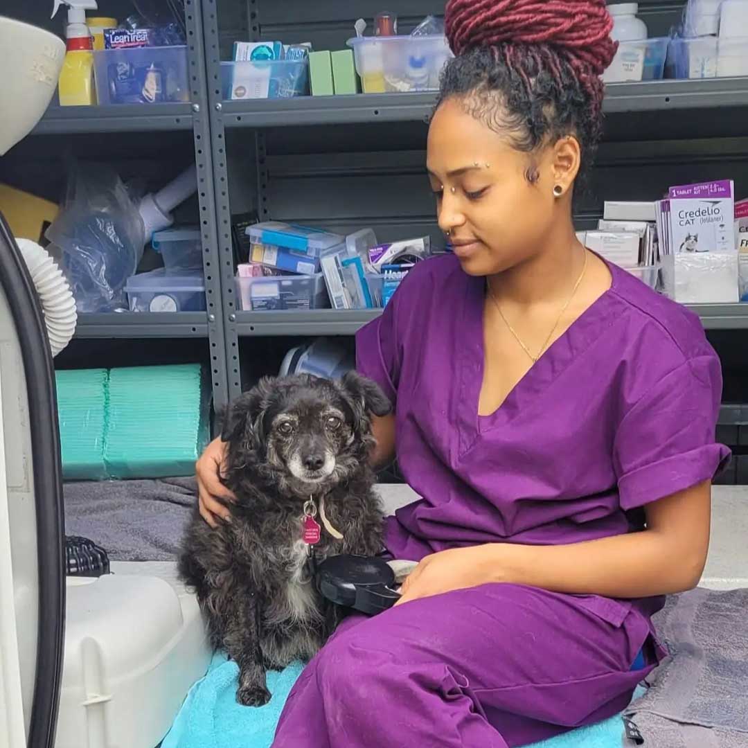 Our team member with a small old dog
