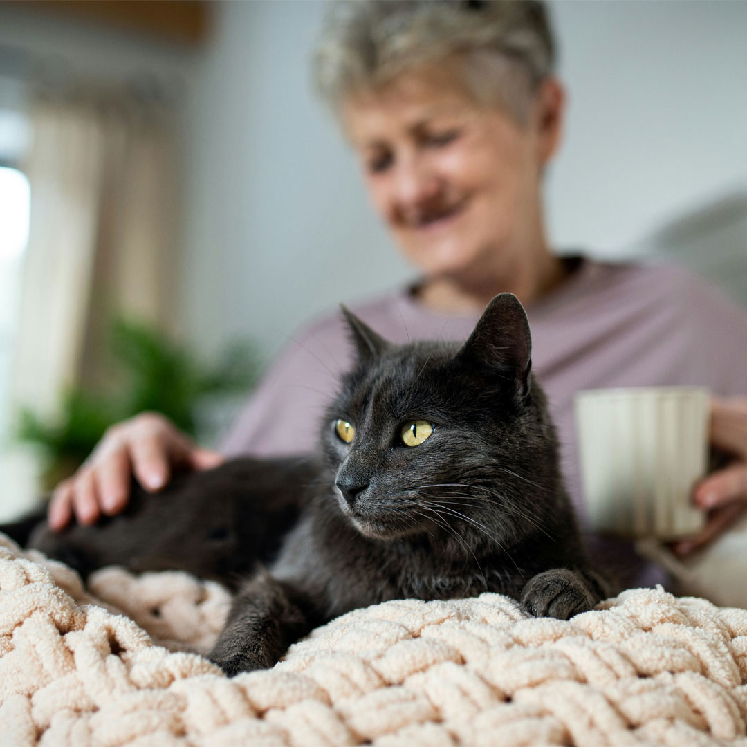 Cat and an Old woman